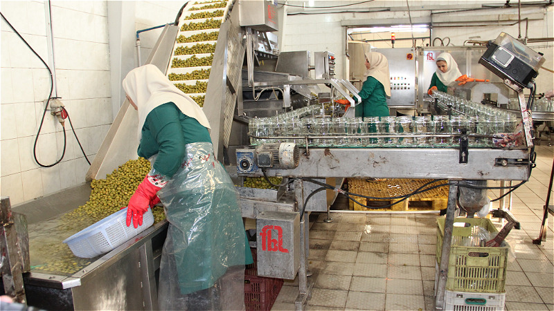 صنايع تبديلي حلقه گمشده بخش کشاورزي استان اردبيل