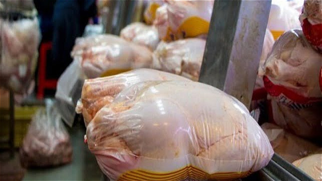 آغاز طرح خرید حمایتی مرغ در زنجان برای تنظیم بازار و حمایت از تولیدکنندگان